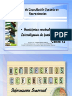 Apunte D - Hemisferios