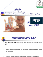 YU - CNS - Meninges and CSF