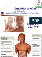 YU - GIT - Blood Supply