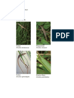 Ant 4516 Module4activity3