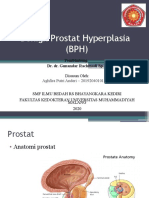 Benign Prostat Hyperplasia