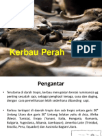 Kambing Dan Kerbau Perah