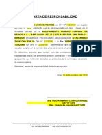 Carta de Responsabilidad