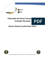 AO-19-Valoração-de-Danos-Causados-por-Incêndio-Florestal