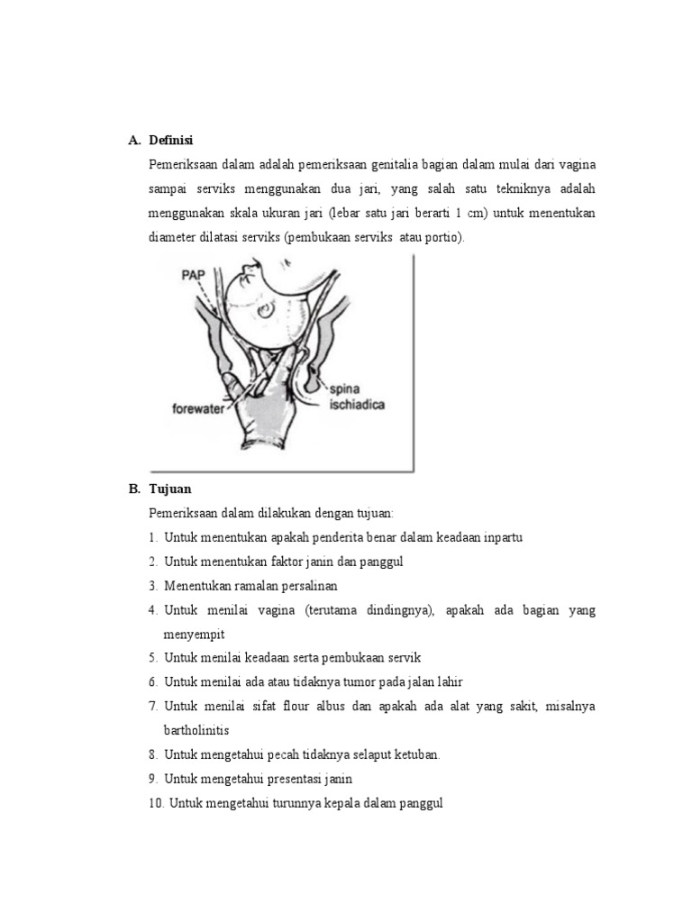 Langkah dan Tujuan Pemeriksaan Dalam VT | PDF
