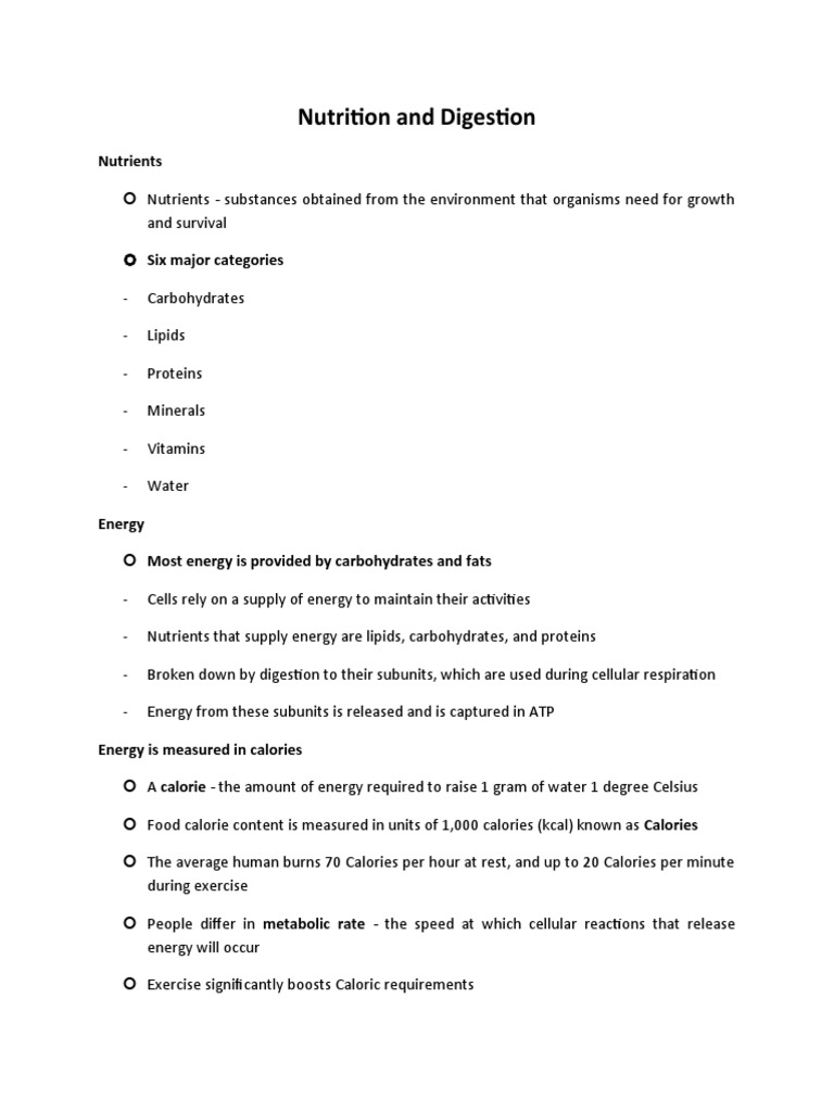 K. Nutrition and Digestion | PDF | Human Digestive System | Digestion