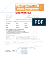 Examen 02 de Ciencia y Ambiente Segundo de Primaria