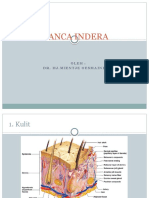 Anatomi Panca Indera Lengkap