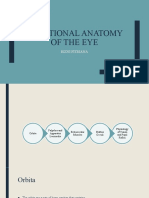 Anatomy and Physiology of the Eye