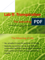 Lab 9: Transpiration: The Debriefing