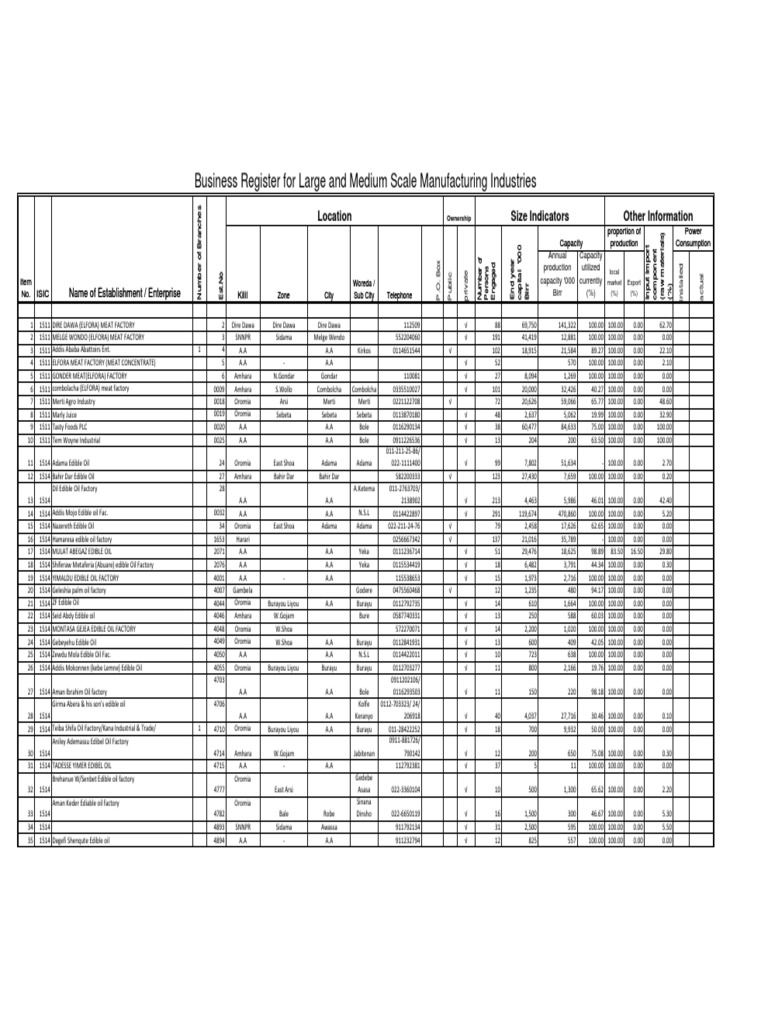 Large and Medium Scale Manufacturing Industries in Ethiopia PDF