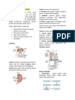 Handout Sistem Eksresi