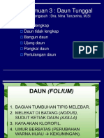 Bab 3. Morfologi Daun Tunggal