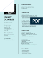 Henry Mitchell: Professional Summary