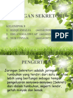 Jaringan_Sekretori