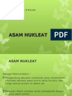 Bahan Kuliah Asam Nukleat 27 September 2015