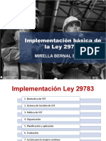 CSO implementacion Ley 29783 Mirella Bernal primera parte