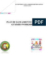 Plan de Saneamiento - X