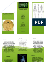 BIOLOGIA HUMANA