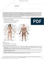 Introduction To The Human Body - ClinicalKey