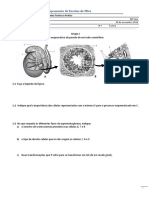 Biologia 12o: Espermatogénese, Ciclo Ovárico e Fecundação