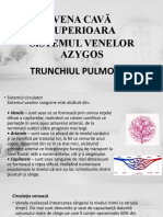 VENA CAVA SUPERIOARA - SISTEMUL VENE LOR AZYGOS - Trunchiul Pulmonar