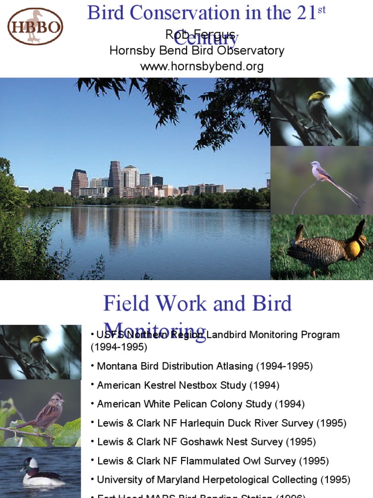 Rob Fergus Hornsby Bend Bird Observatory PDF Conservation Biology