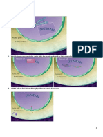 Sintesis Protein