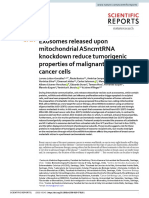 Exosomes Released Upon Mitochondrial Asncmtrna Knockdown Reduce Tumorigenic Properties of Malignant Breast Cancer Cells