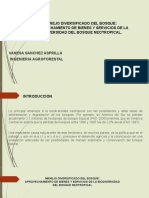 Expocicion de Profundizacion I