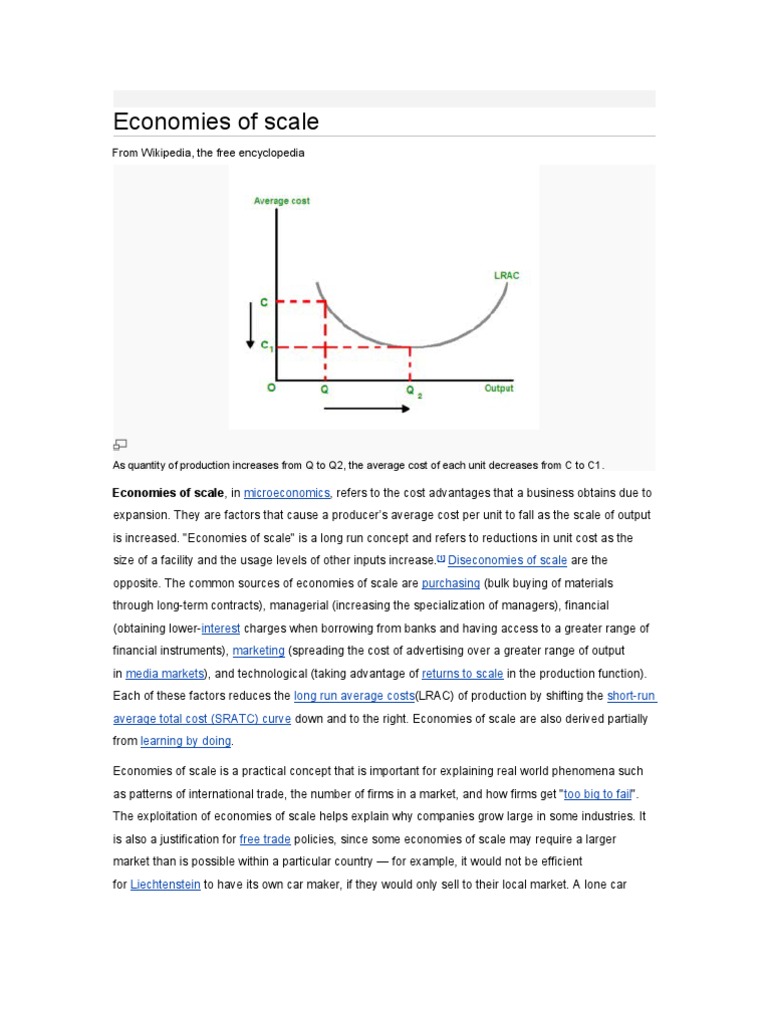 Economies of Scale | PDF | Economies Of Scale | Average Cost