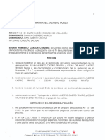 Sustentación recurso apelación proceso sucesión vehículo