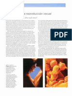 Meiosis y Reproducción Sexual