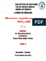 Alteraciones Congénitas Que Provoque Soua y Soub