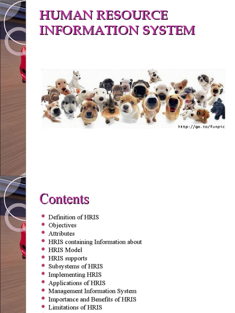 Human Resource Information System | PDF | Human Resource Management ...