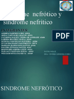 14825819-Sindrome-nefrotico-y-sindrome-nefritico