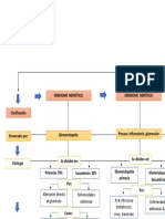 Sindromes Nefroulogicos