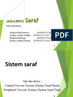 Sistem Saraf