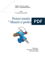 Proiect Tematic Meserii