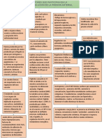 Regulación de La Presión Arterial