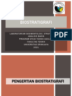 BIOSTRATIGRAFI