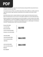Download Types of RNAs by Rohit SN49761289 doc pdf