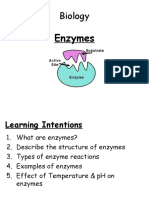 Enzymes