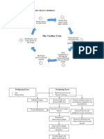 Congestive Heart Failure Pathophysiology