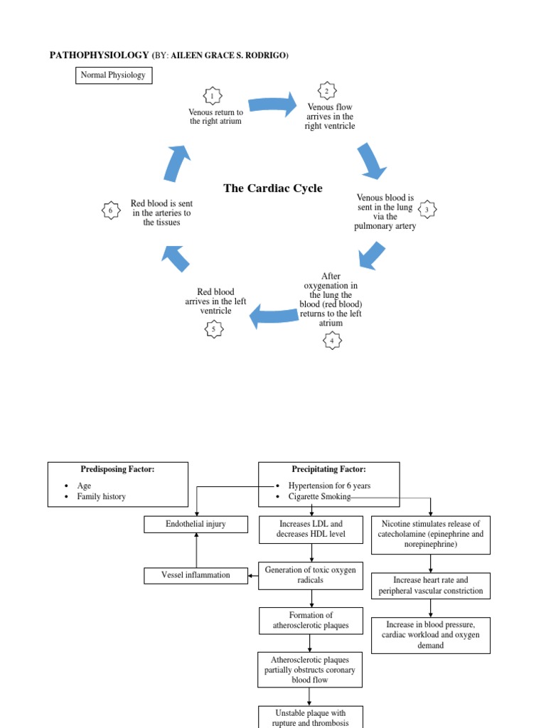 Congestive Heart Failure Pathophysiology | PDF | Angiotensin | Heart
