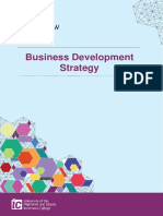 Business Development Strategy 2017-2020