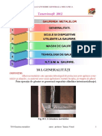 T10 Gaurirea