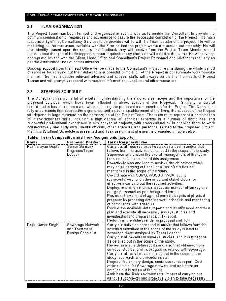 Team Composition and Task Assignments | PDF | Consultant | Surveying