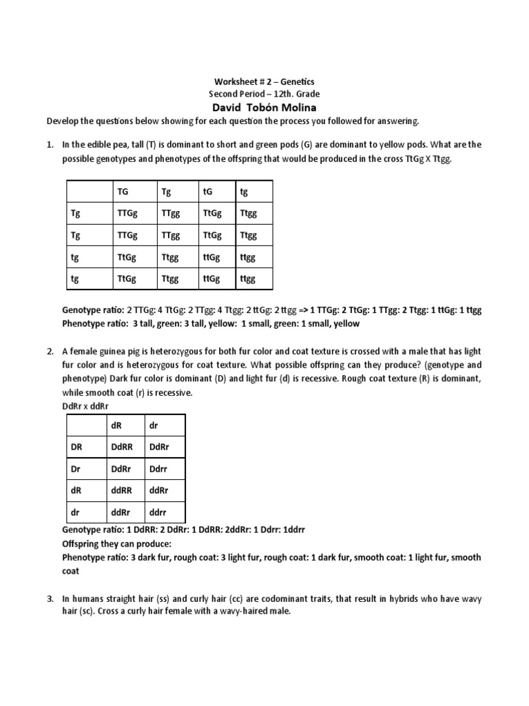 Genetics Worksheet # 2 12th Grade | PDF | Dominance (Genetics) | Genotype