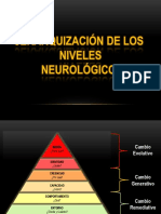 Jerarquización Niveles Neurológicos